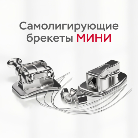 Промонабор для 1-го пациента с металлическими самолигирующими брекетами МИНИ РОТ 022/МВТ 022 