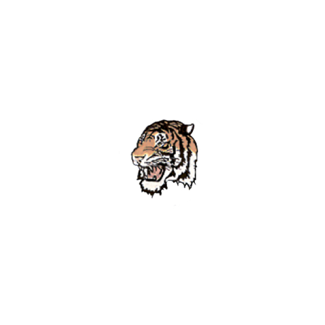 Вставка-картинка Тигр