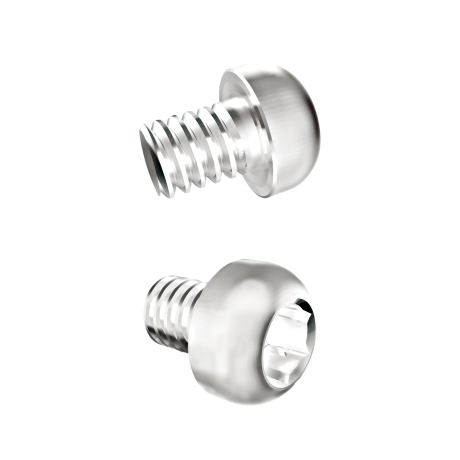 Винт (скрепляющий)