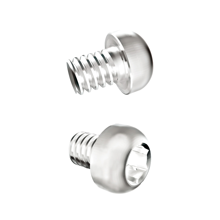 Винт (скрепляющий)