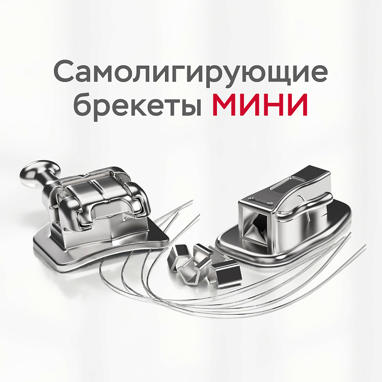 Промонабор для 1-го пациента с металлическими самолигирующими брекетами МИНИ РОТ 022/МВТ 022 