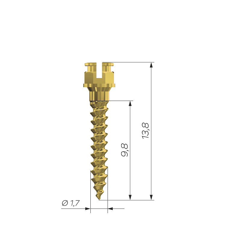 Винт для временной внутриротовой опоры Орто Изи 10х1,7 мм/022